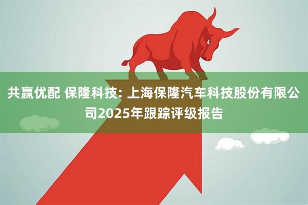 共赢优配 保隆科技: 上海保隆汽车科技股份有限公司2025年跟踪评级报告
